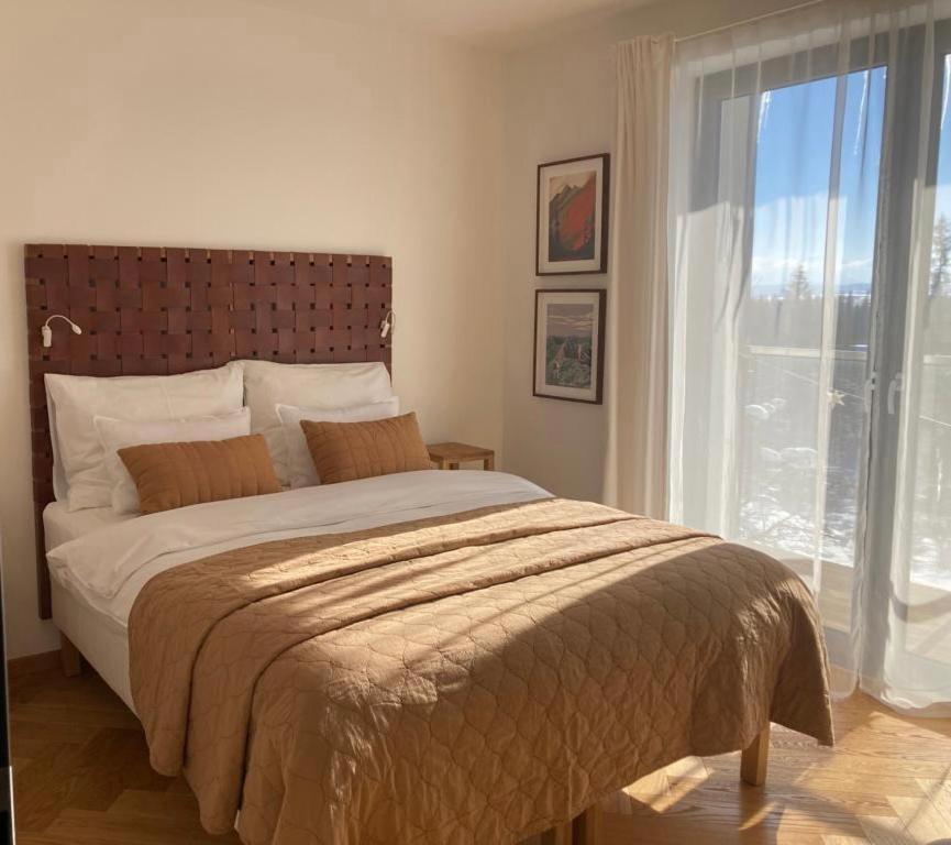 Botka Apartman, גולובינקה מראה חיצוני תמונה